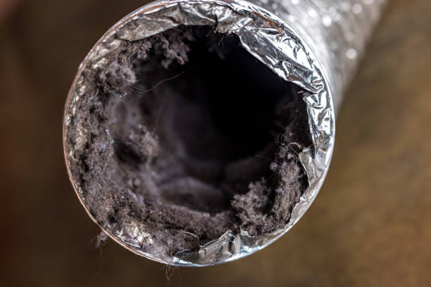 Best Air Duct Sanitizing Services  in Ke Arthur, LA